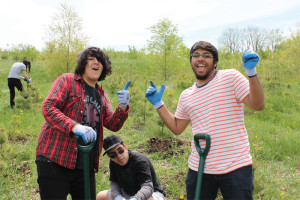 YMCA Academy students planting trees at Evergreen Downsview Park