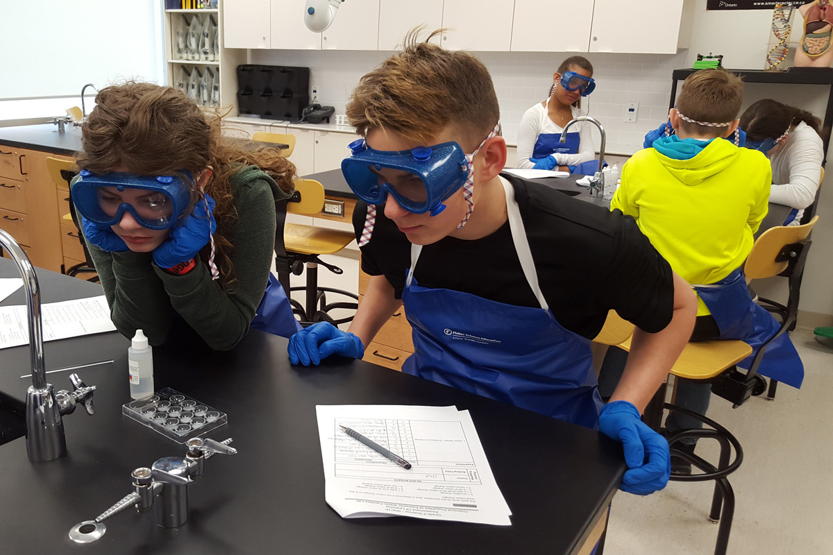 Grade 9 YMCA Academy Chemistry students explore properties of compounds.