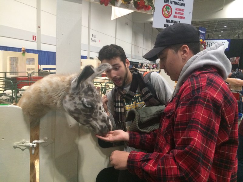 Student attend the Royal Winter Fair