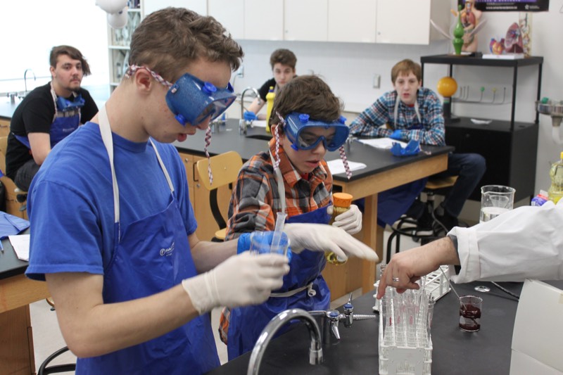 Students test various food items for protein, lipid and carbohydrate content.