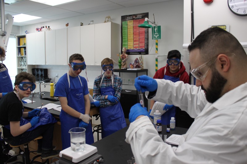 Students test various food items for protein, lipid and carbohydrate content.
