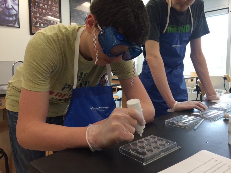 Students reacted silver nitrate separately with potassium chloride, potassium iodide, potassium bromide and potassium sulfide.