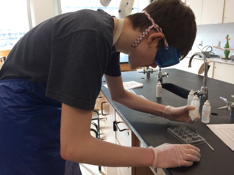 Students reacted silver nitrate separately with potassium chloride, potassium iodide, potassium bromide and potassium sulfide.