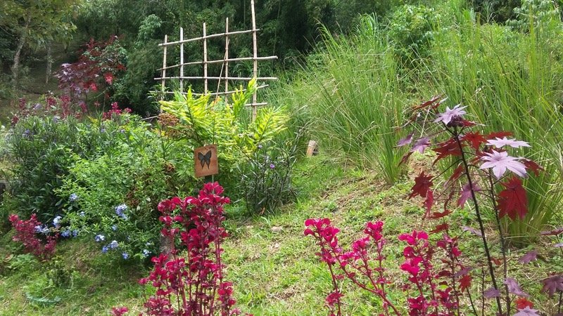 Garden at the Soliera School