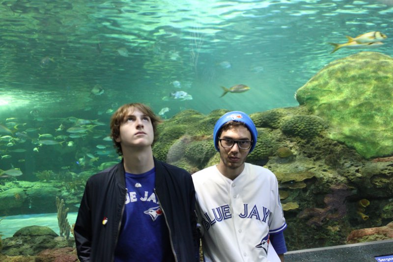 Academy student visit Ripley’s Aquarium, CN Tower, and attend a Blue Jays game