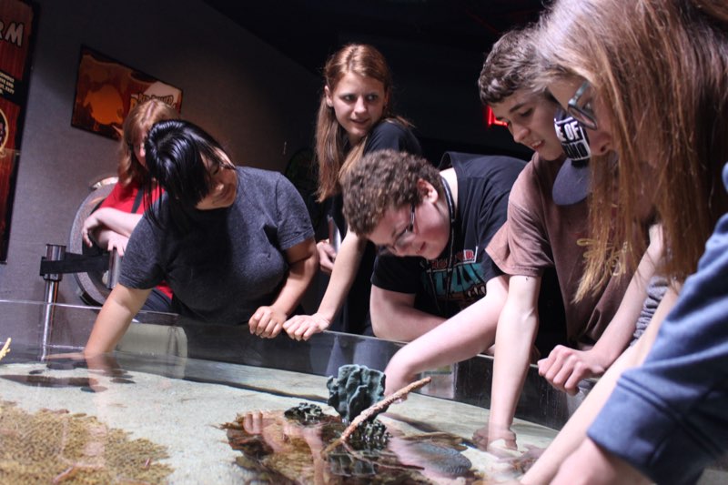 Academy student visit Ripley’s Aquarium, CN Tower, and attend a Blue Jays game