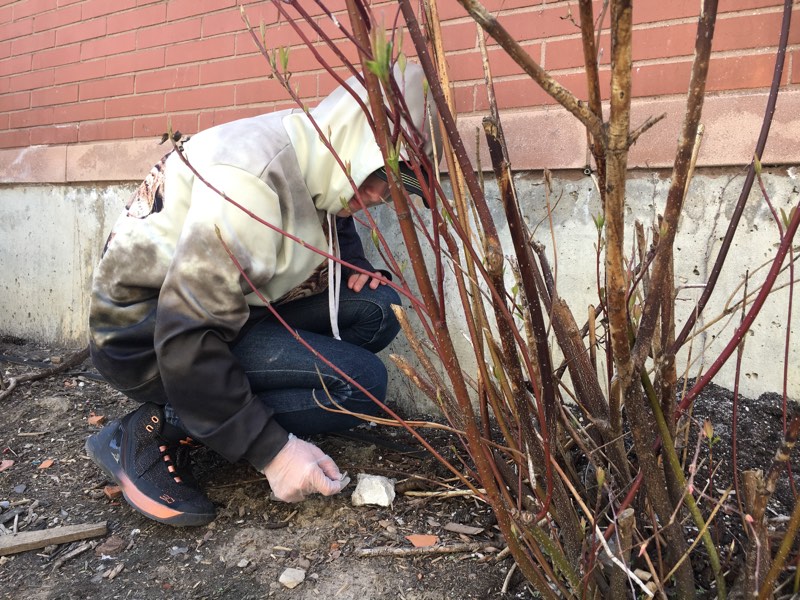 Students and staff cleaned the area around our building and our neighbouring park. This year’s focus was plastic pollution.