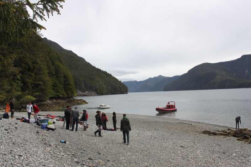 The beach of the island