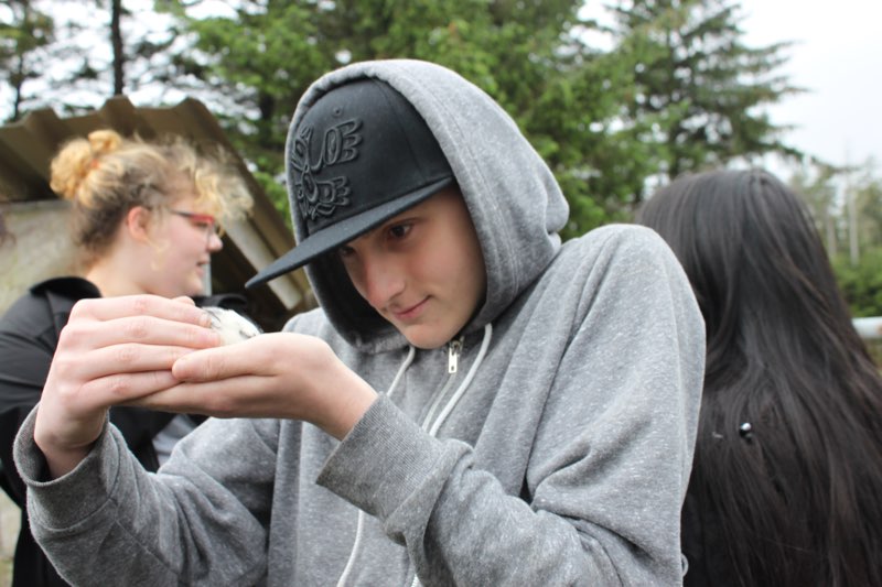 Academy students interact with a variety of small creatures