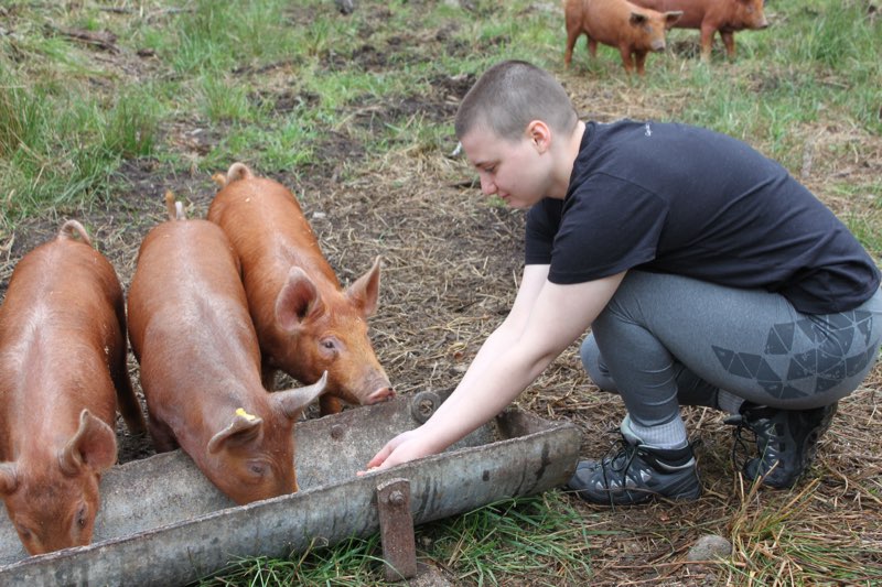 Academy students on a farm in Haida Gwaii