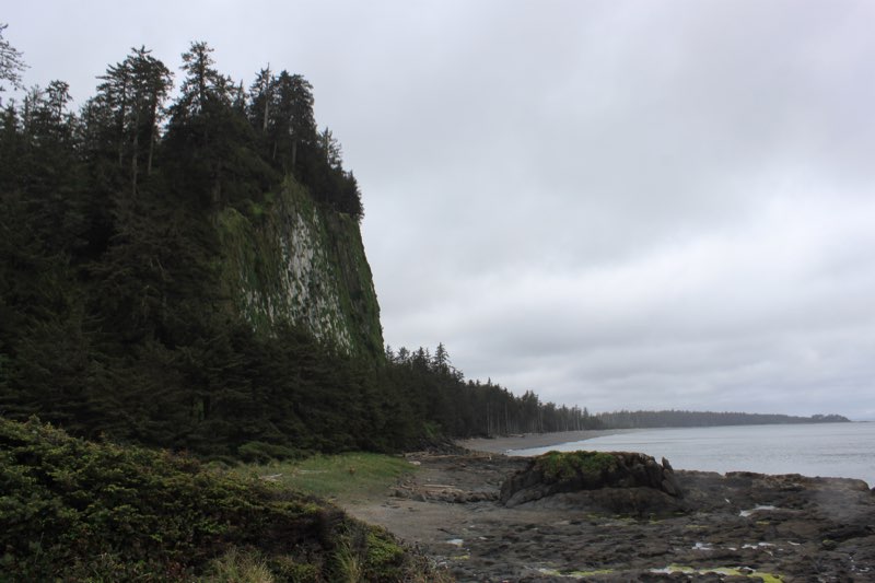 Wilderness in Haida Gwaii