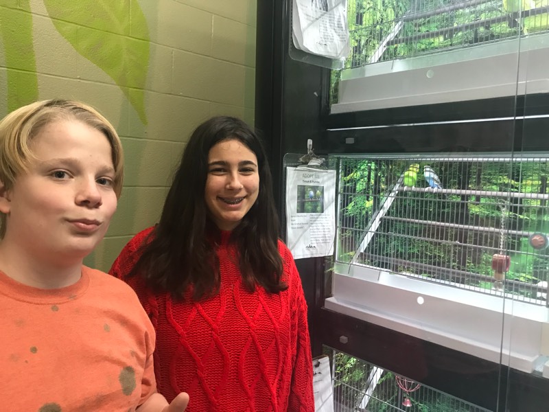 YMCA Academy students visit the Toronto Humane Society