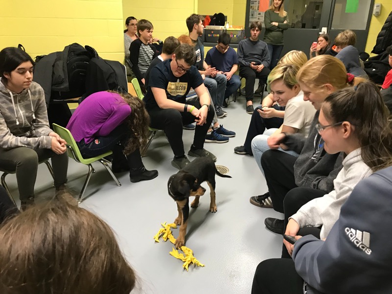 YMCA Academy students visit the Toronto Humane Society