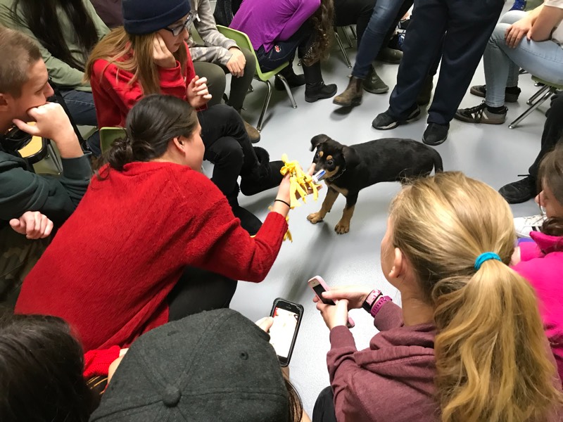 YMCA Academy students visit the Toronto Humane Society