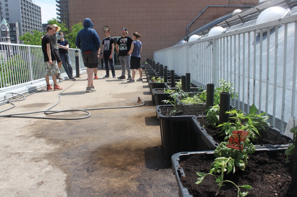 Academy students plant herbs and vegetables in the now ready garden!