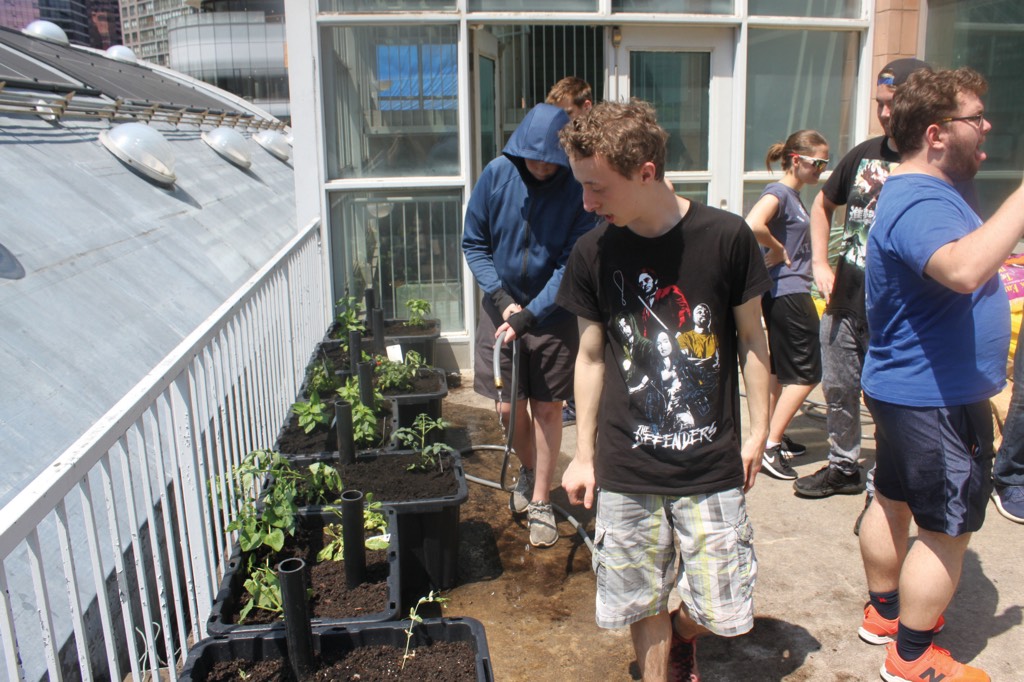 Academy students care for the new vegetables in the community garden