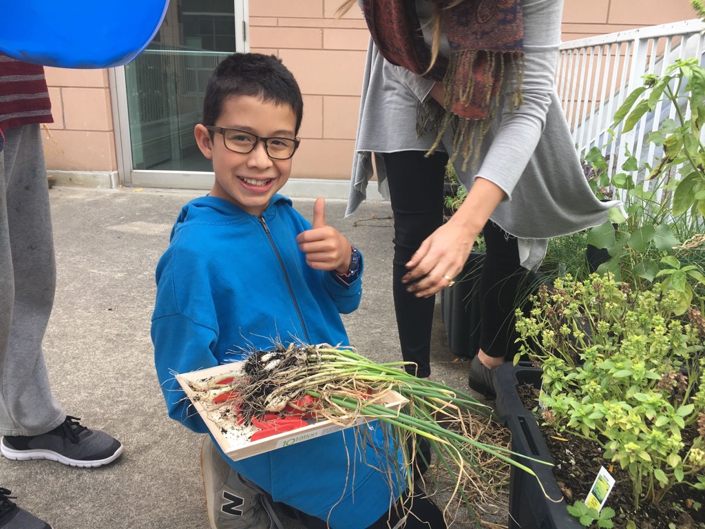 Academy students harvest hot peppers and other vegetables