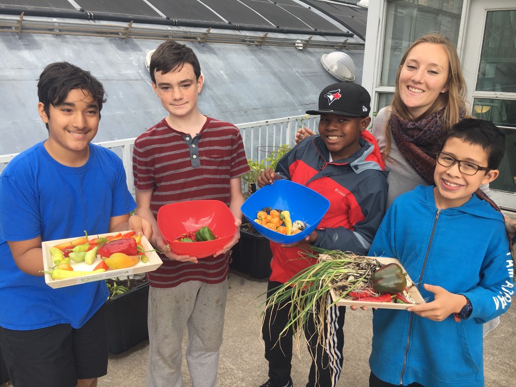 Academy students harvest hot peppers and other vegetables