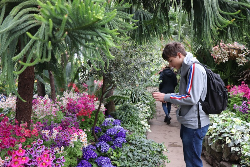 Zoe’s Art class and Dayna’s Mental Health class went on a trip to Allan Gardens