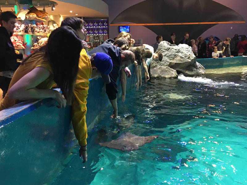 YMCA Academy students and exchange participants at the Toronto Aquarium