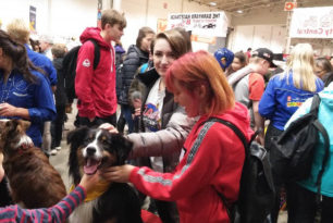 Royal Agricultural Winter Fair Academy students participate in a variety of activities at the Royal Agricultural Winter Fair.