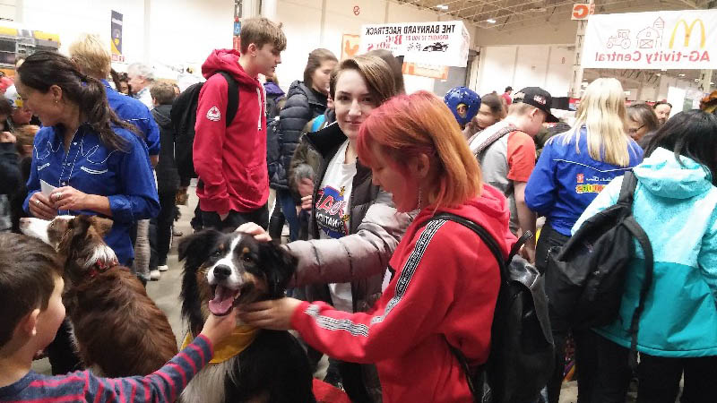 Academy students participate in a variety of activities at the Royal Agricultural Winter Fair.