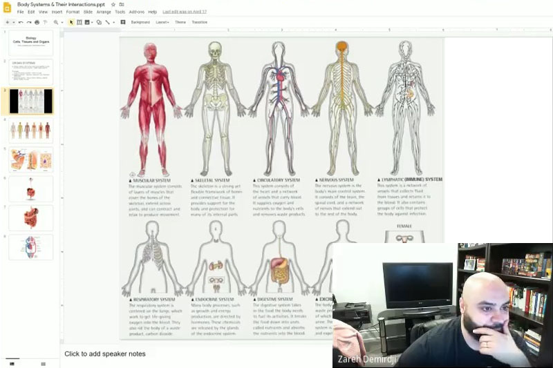 The Grade 11 biology class learns about the Anatomy of Mammals