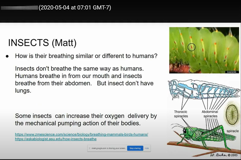 The Grade 9 Locally Developed Science class has been learning all about body systems in their unit “Biology: Staying Alive