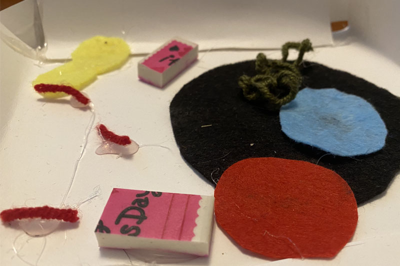 Middleschool students create cells with everyday items