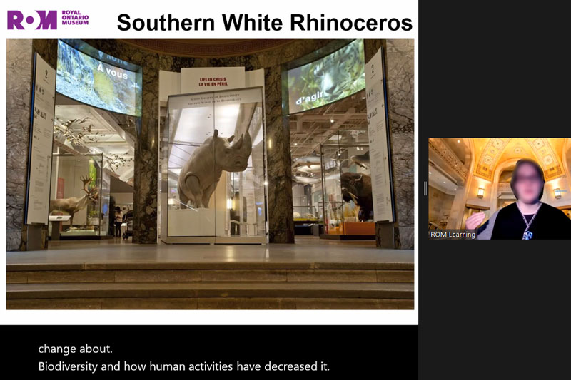 YMCA Academy students in the Adventures in World History class attend a virtual trip to the Royal Ontario Museum