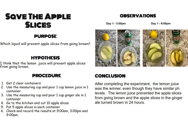 For our chemistry unit we learned about physical and chemical properties.