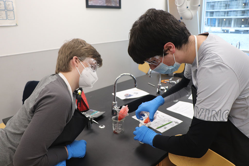 The students in SBI3C were actively lysing strawberry cells to extract and isolate DNA from the nuclei of strawberry cells