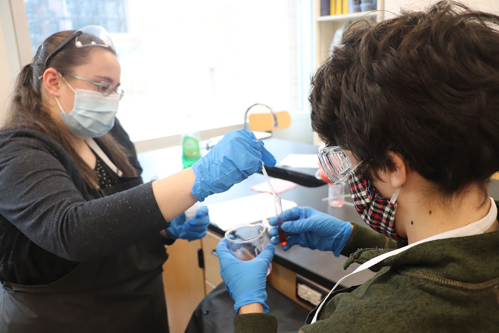 The students in SBI3C were actively lysing strawberry cells to extract and isolate DNA from the nuclei of strawberry cells