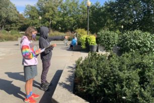 Cross Curricular Connections: Woodland Art Meets Ecology The science class is currently studying biology and we recently learned about the levels of ecology