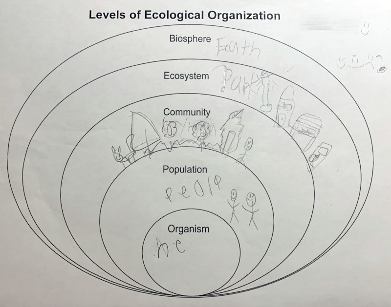 The science class is currently studying biology and we recently learned about the levels of ecology