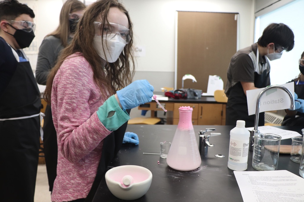 The students actively extracted bismuth metal from pepto bismol tablets.