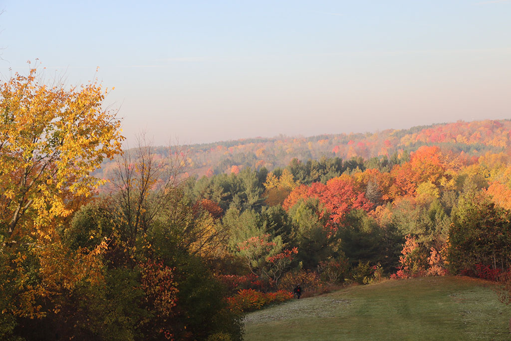 Annual expedition to Cedar Glen