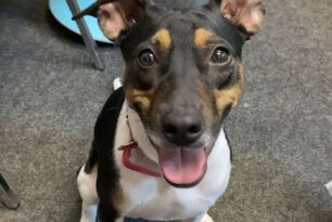 Thanks to your fantastic fundraising efforts last Spring, we are thrilled to announce a new-ish addition to our YMCA Academy team; Mars!