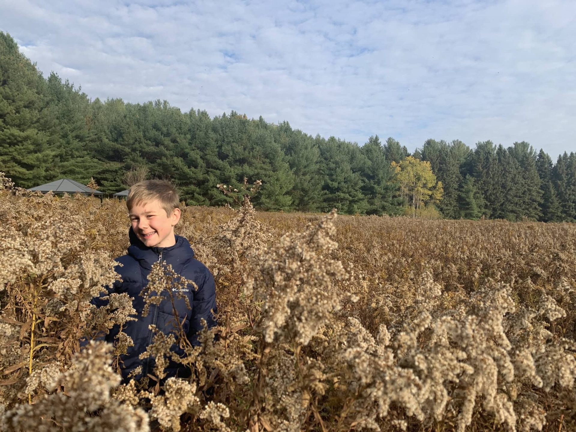 Happy boy in a field of plants at YMCA Academy in a natural outdoor setting.